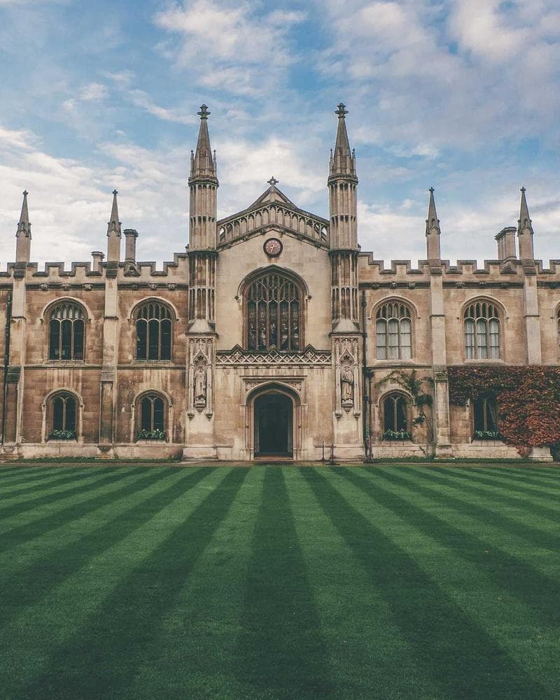 Wholemelts × Candy Shop